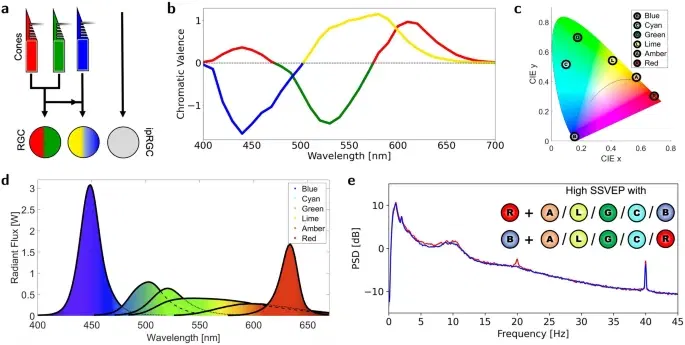 Exploring 40Hz Flicker Therapy